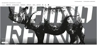 Website der Burkhard Eikelmann Galerie mit Nashorn-Grafik